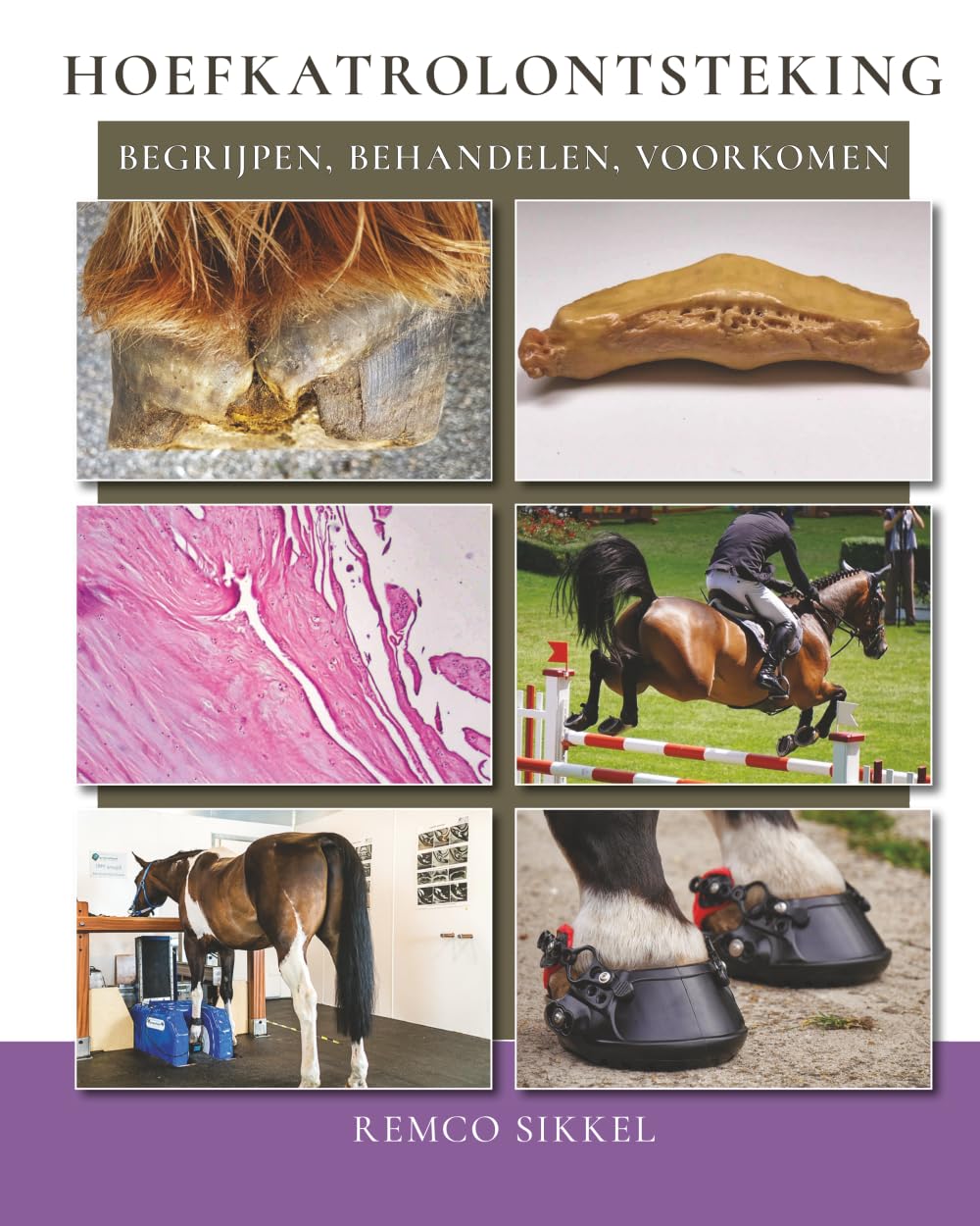 Hoefkatrolontsteking: begrijpen, behandelen, genezen