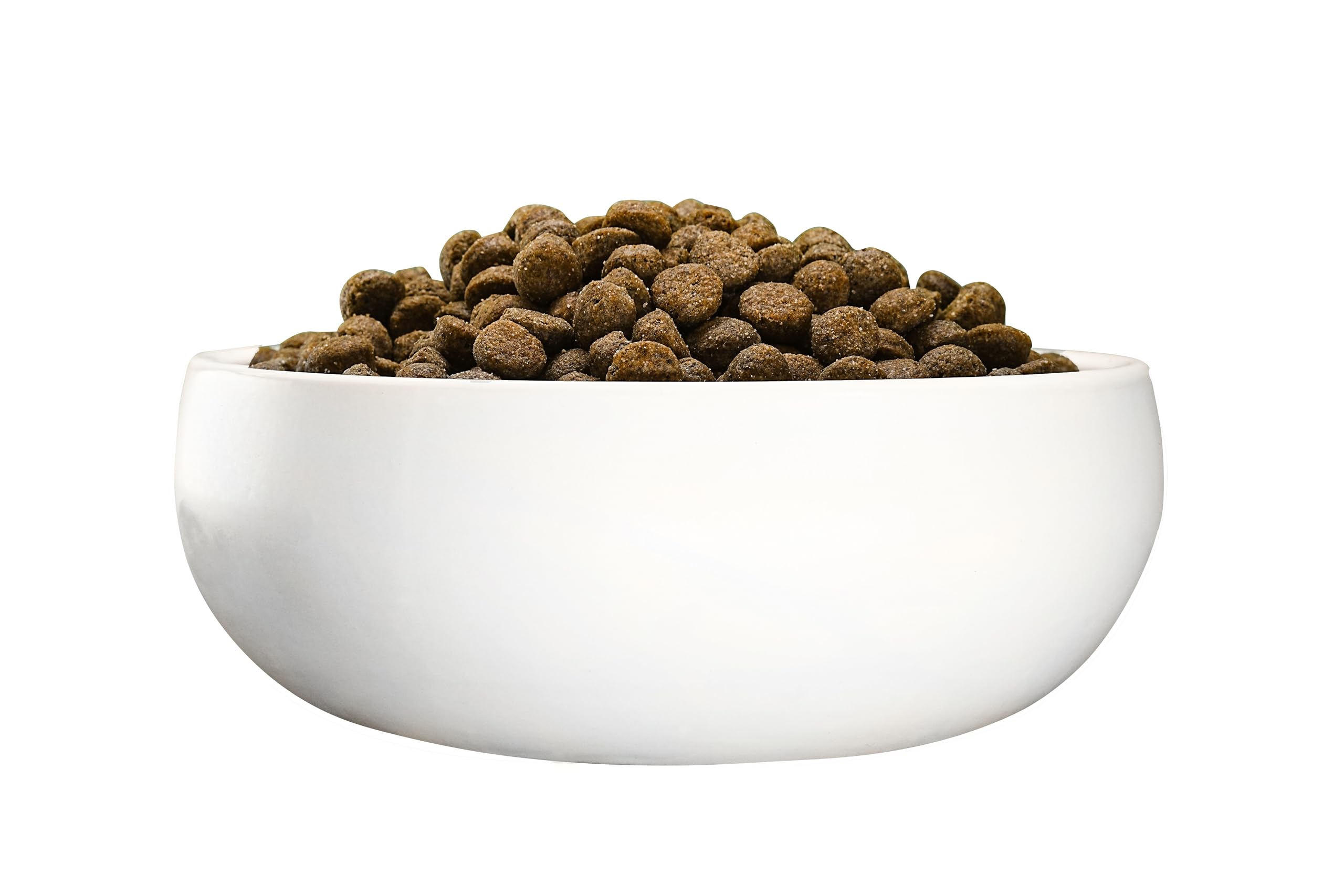 Green Petfood InsectDog Sensitive mit Insekten & Reis (1 x 10 kg) | Adult | Premium Trockenfutter für ausgewachsene Sensible Hunde | Insekten als einziges tierisches Protein | weizenfrei | 1er Pack