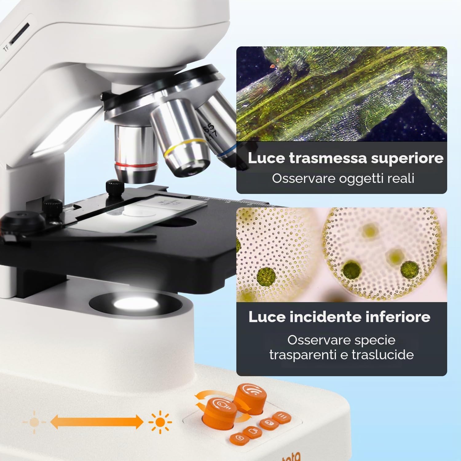Microscopio per bambini adulti, MatataStudio MT3-4 1200 microscopio biologico professionale con schermo da 7" 1080P, calibro a corsoio portatile da 5 MP, microscopio digitale USB, per laboratorio