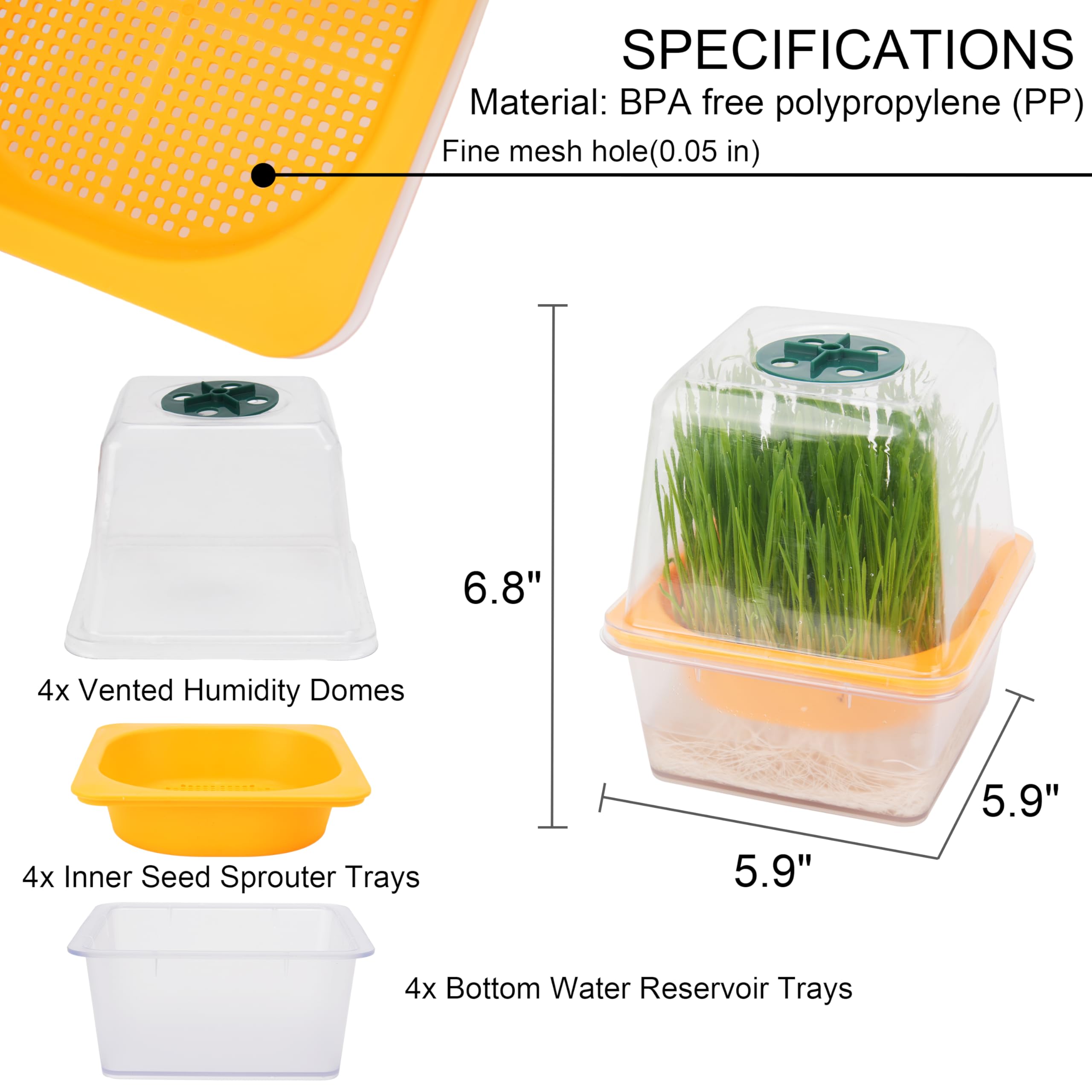 LUVCOSY Paquete de 6 bandejas transparentes para cultivo de brócoli
