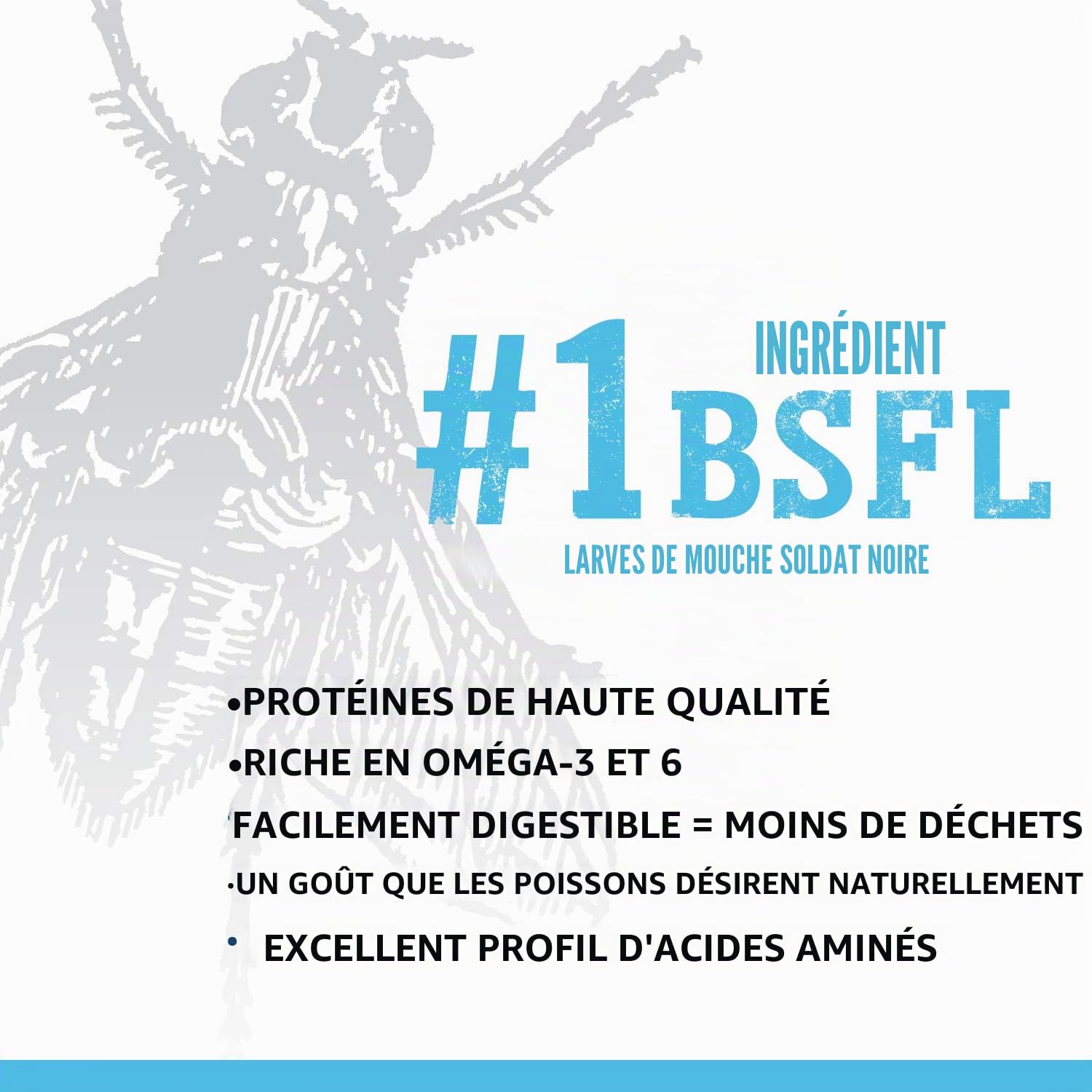 Fluval Bug Nourriture pour Poissons tropicaux avec Larves d'insectes Micro granules à couler Lentement 0,7-1 mm, 45 g