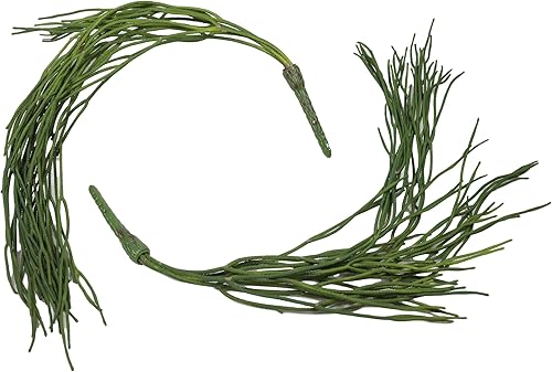 Miniatura 4 de Ebros Gift Paquete de 6 plantas suculentas largas y realistas con tallos de hojas suaves y realistas de 26 pulgadas de largo, plantas suculentas