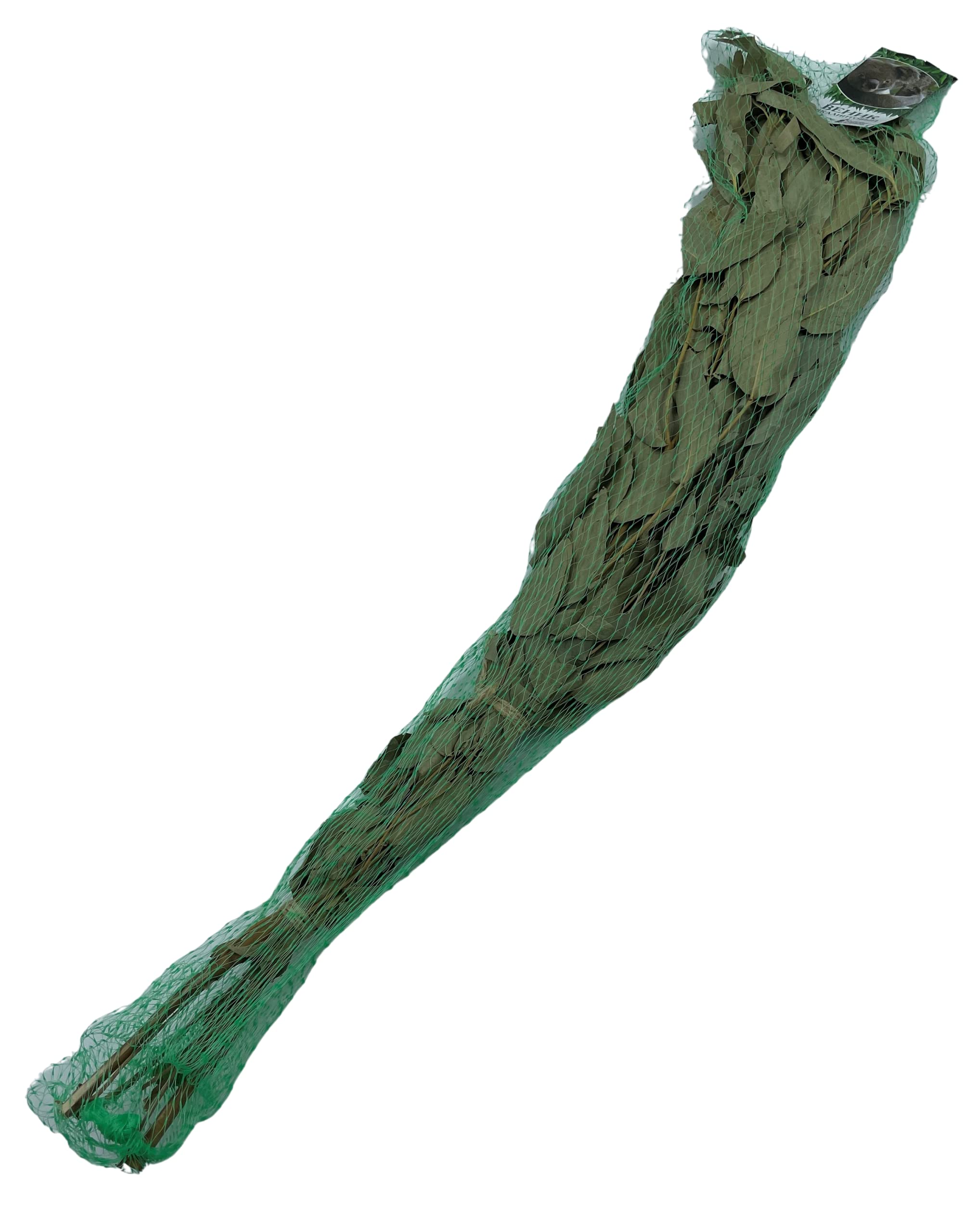 Dufte Momente | 1 x Eukalyptus Reisig, Wenik, Quast für Sauna, Banja | aus Ernte 2024 | einzeln verpackt und luftgetrocknet | mehrfach verwendbar | Länge ca. 50-60cm, Gewicht ca. 190g