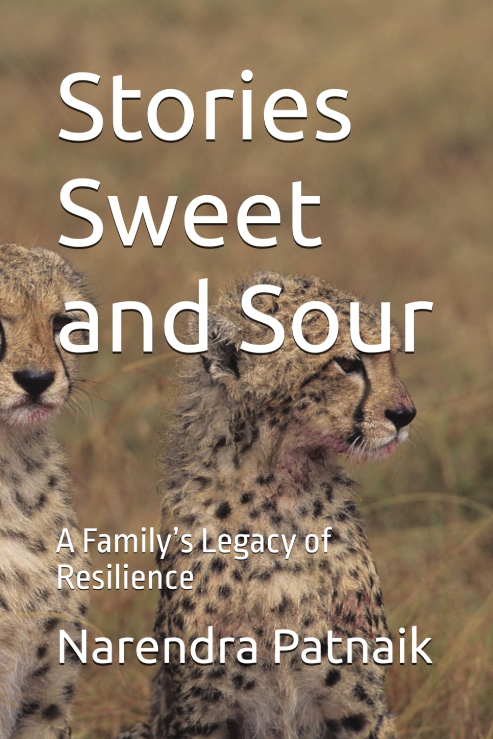 Stories Sweet and Sour: A Family’s Legacy of Resilience