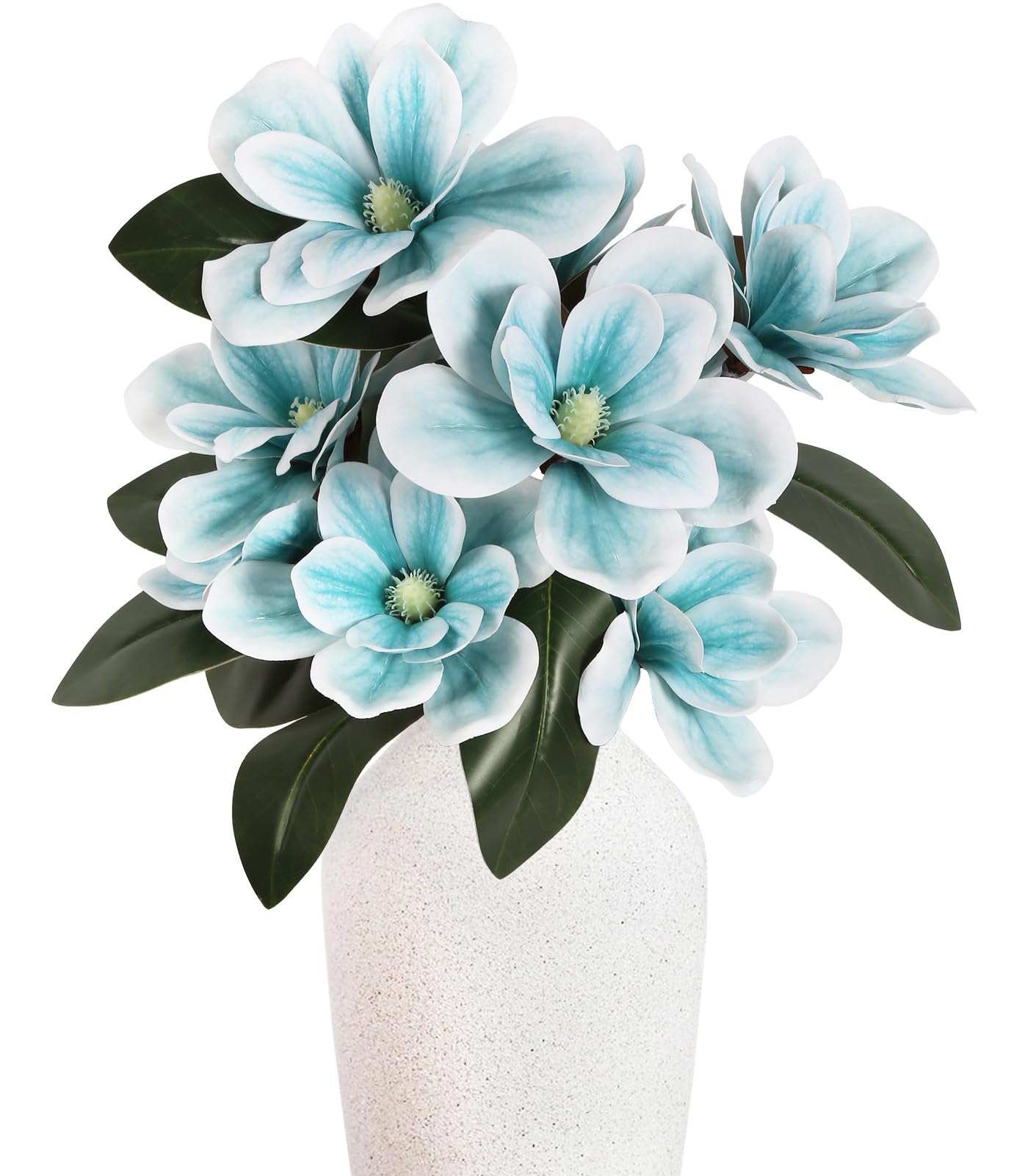 ドライフラワー❇️マグノリア❣️ ドライフラワー マグノリアの