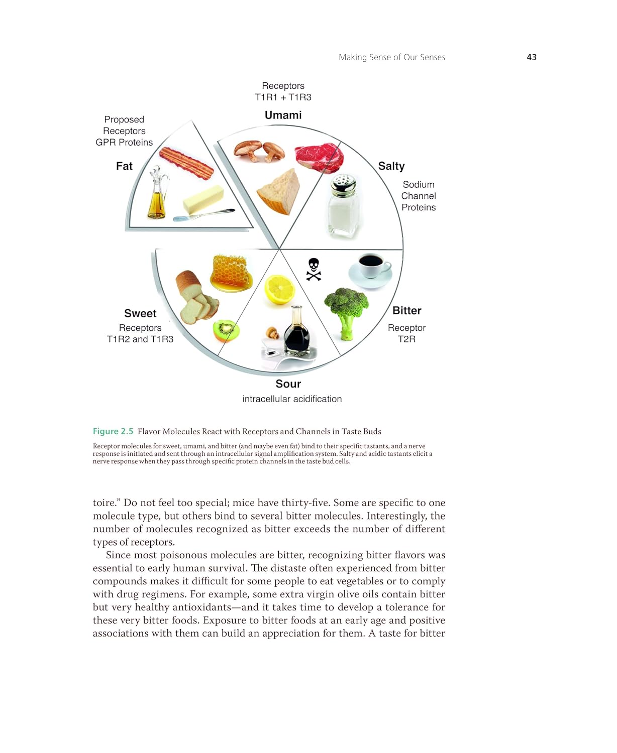 Food Chemistry in Small Bites