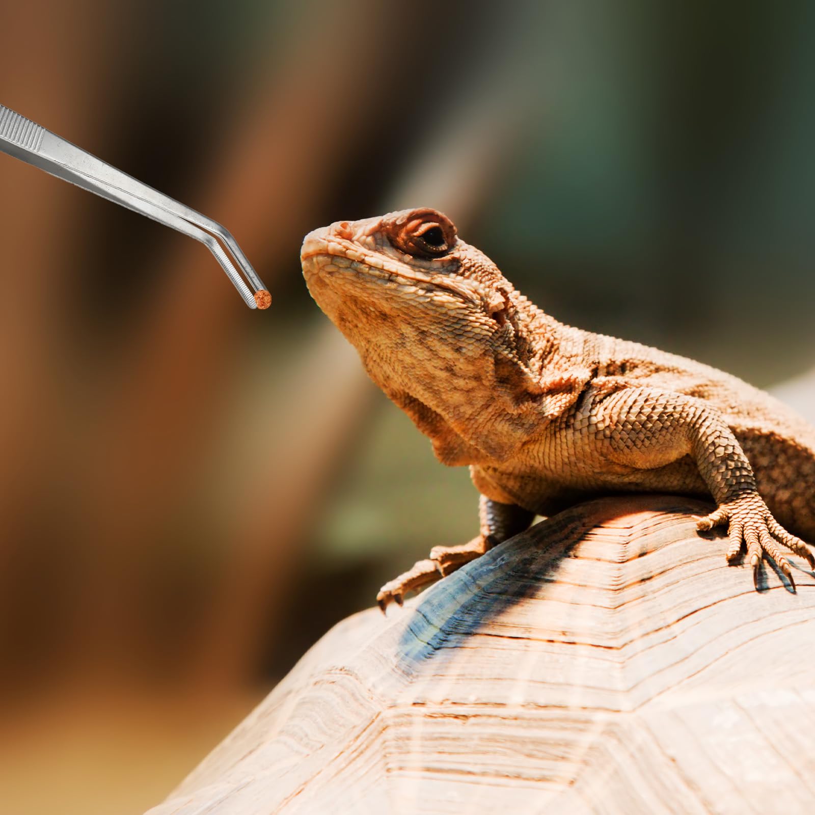 Pinze Per Acquario E Alimentazione Rettili - Acciaio Inox, 27 Cm, Punta In Gomma - Foto 5