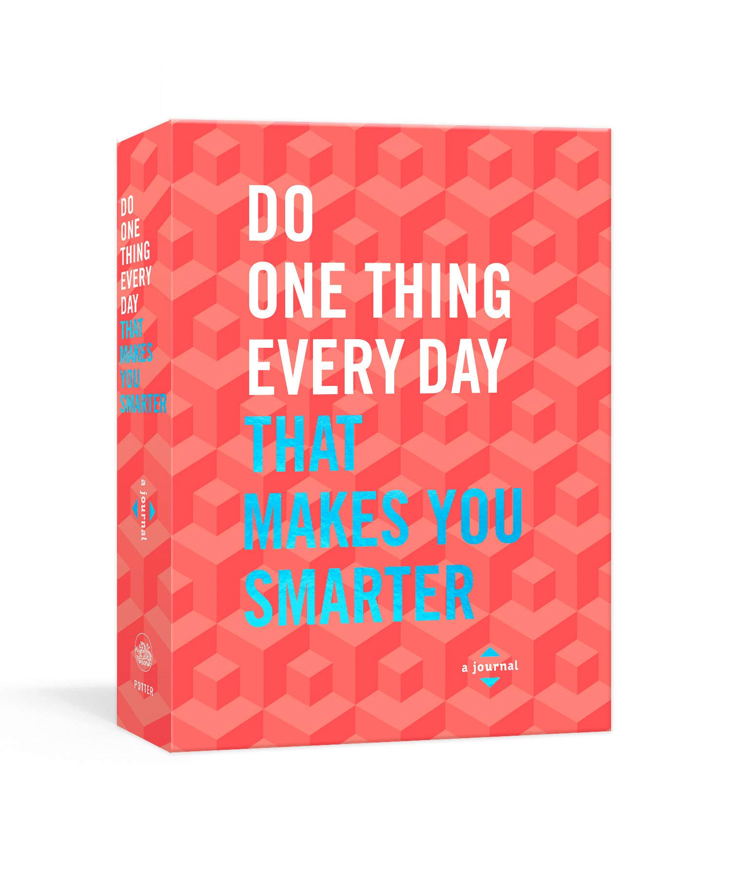 Do One Thing Every Day That Makes You Smarter: A Journal (Do One Thing Every Day Journals)