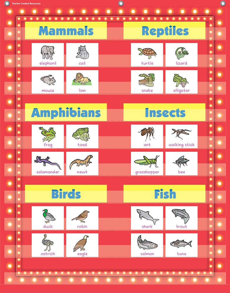 Teacher Created Resources Red Marquee 10 Pocket Chart (34" x 44")