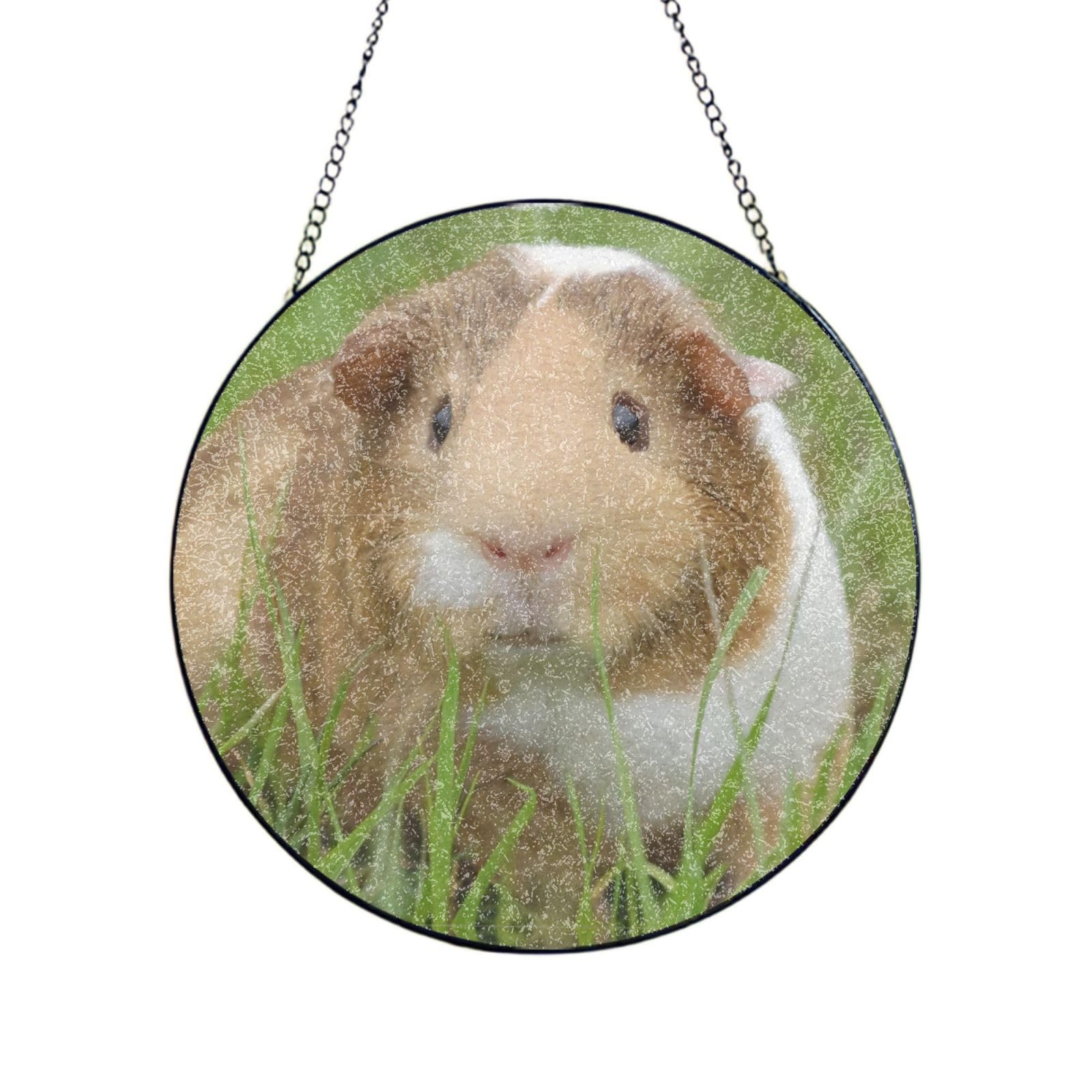 Phayah Guinea Pig Print Glass Window Hanging Sun Catchers Suncatcher Decor For Birthday For Home Garden Porch 4in（10cm）
