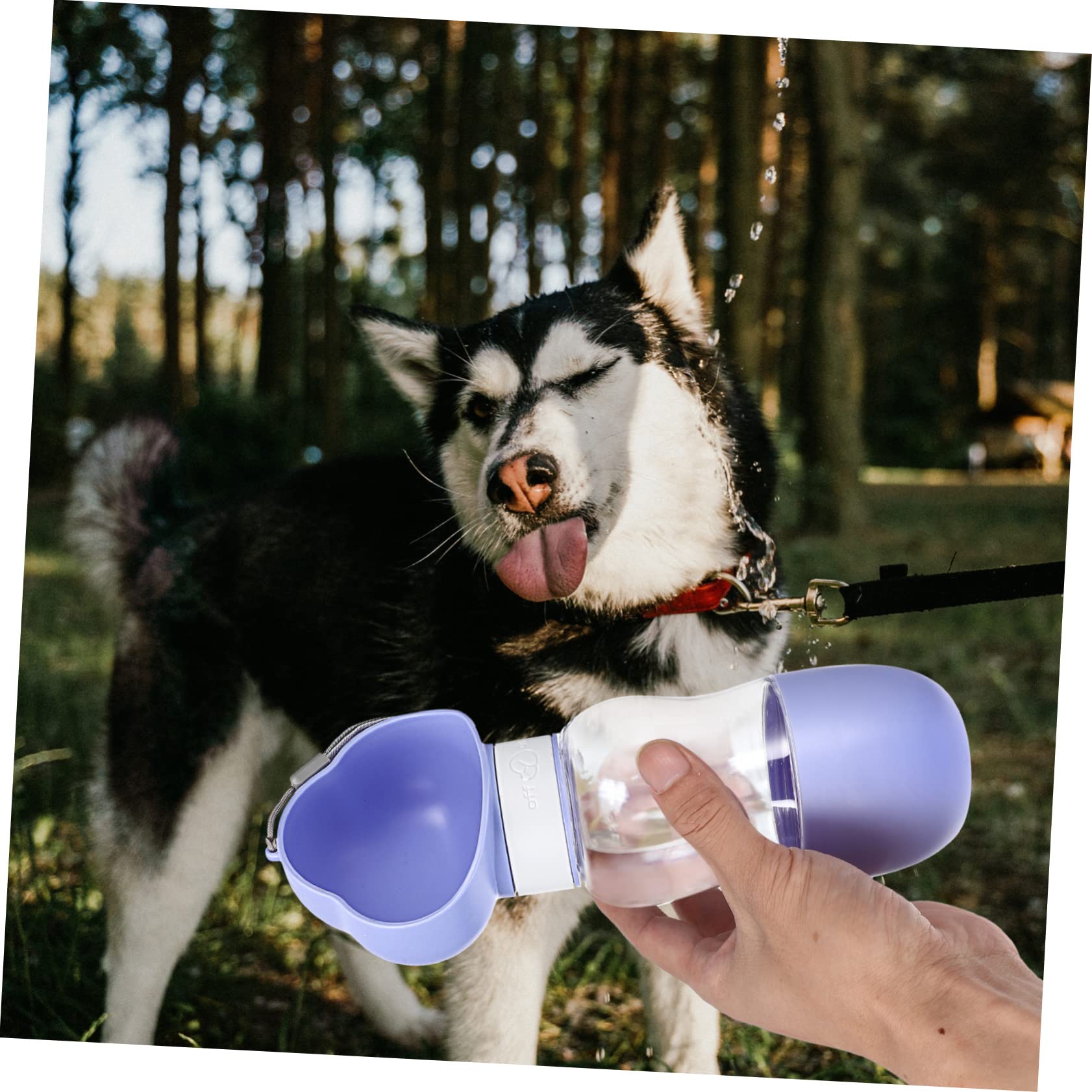 minkissy 5stücke Trinkflasche Für Hunde Tragbare Wasserflasche Mit Auslaufsicherem Design Für Unterwegs Camping Und Outdoor-aktivitäten -frei Bequem Für Welpen Und Kleine Hunde