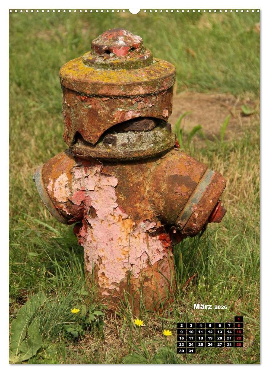 Nostalgie Hydranten (hochwertiger Premium Wandkalender 2026 DIN A2 hoch), Kunstdruck in Hochglanz: Hydranten am Straßenrand (CALVENDO Technologie)