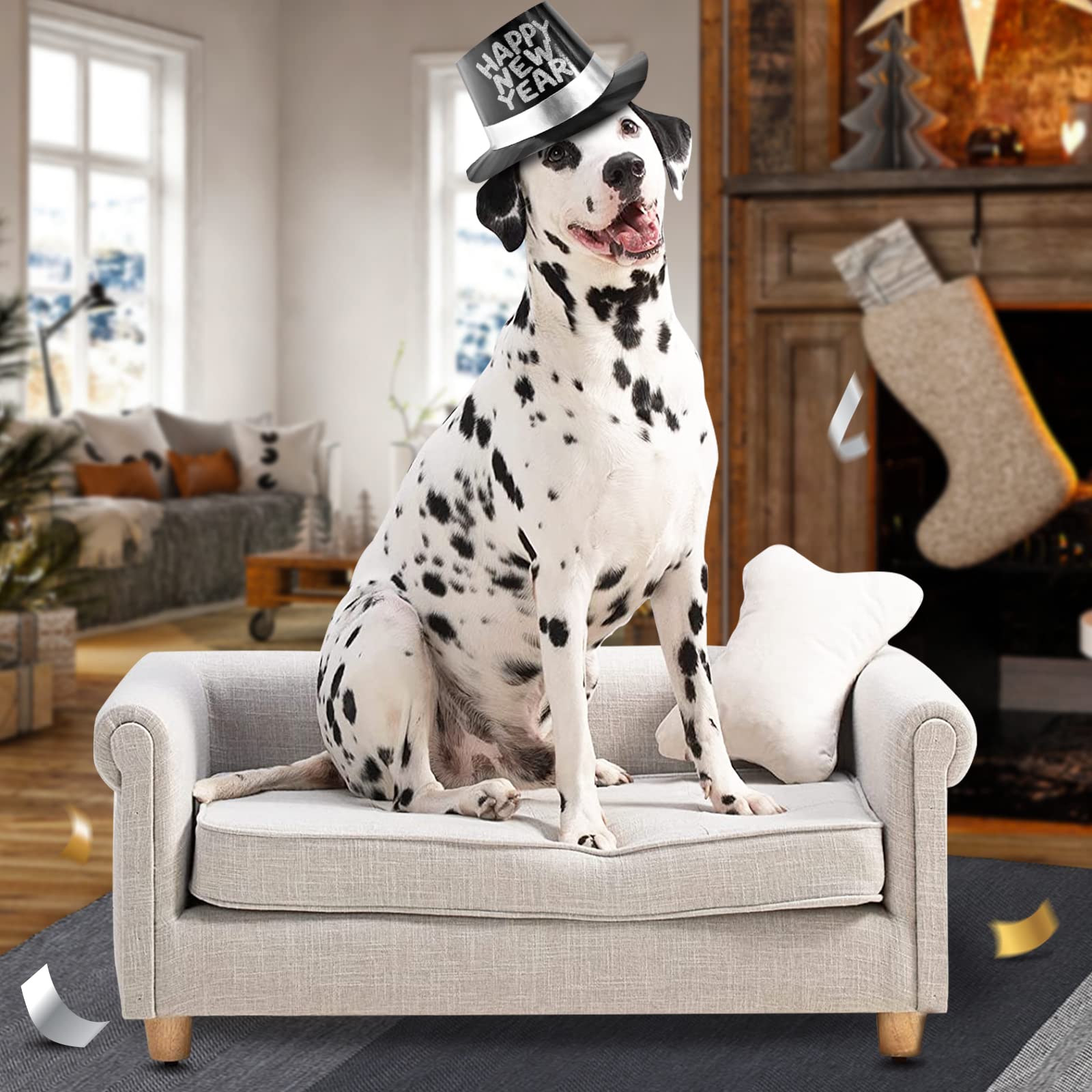 Is It Ok For Dog To Sleep On Couch