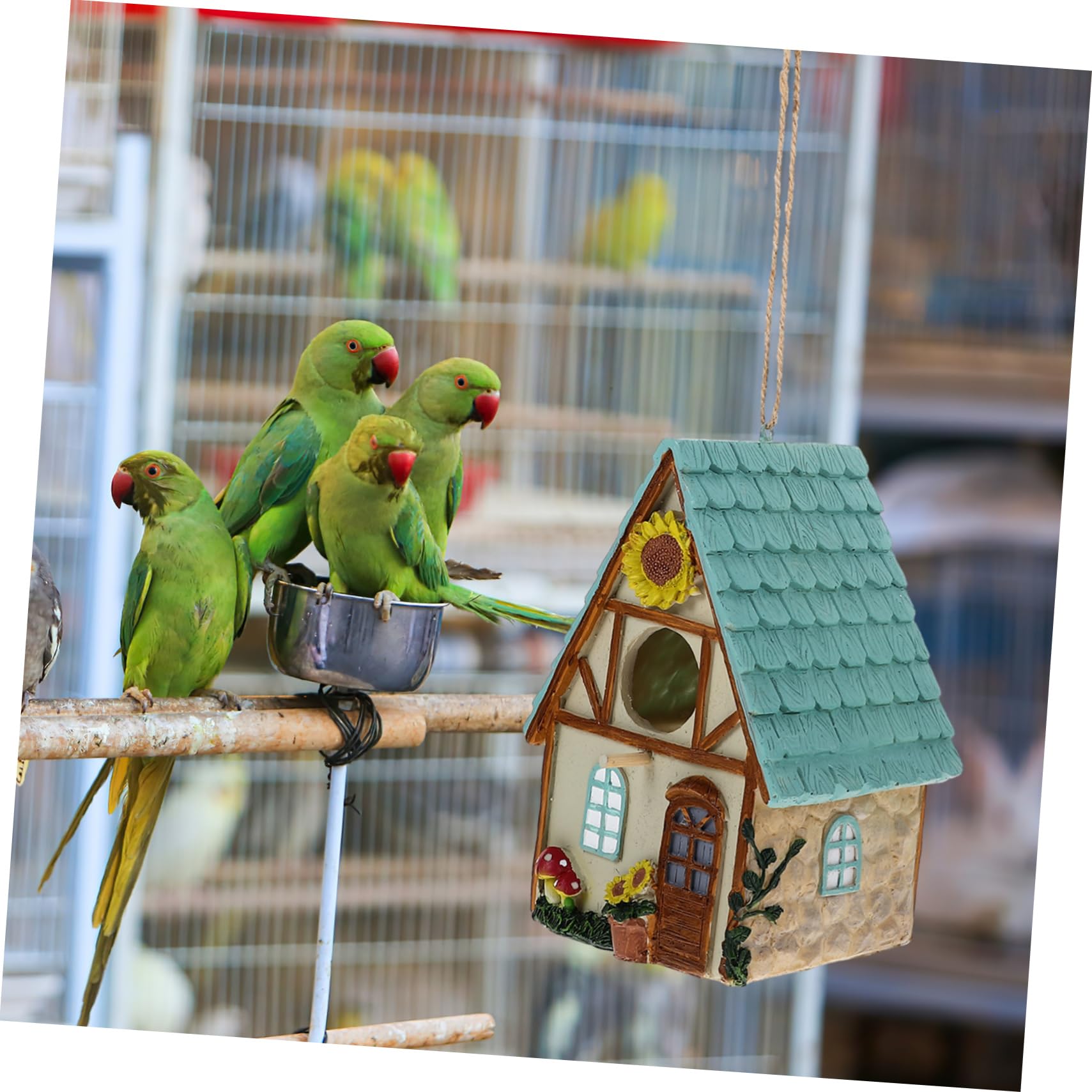 Abaodam Casa Nido Decorativa Colgante de Resina para Cría de Aves | Apta para Alondras y Aves Pequeñas, Uso en Jaula o Exterior, Diseño de Casita Sencilla y Elegante