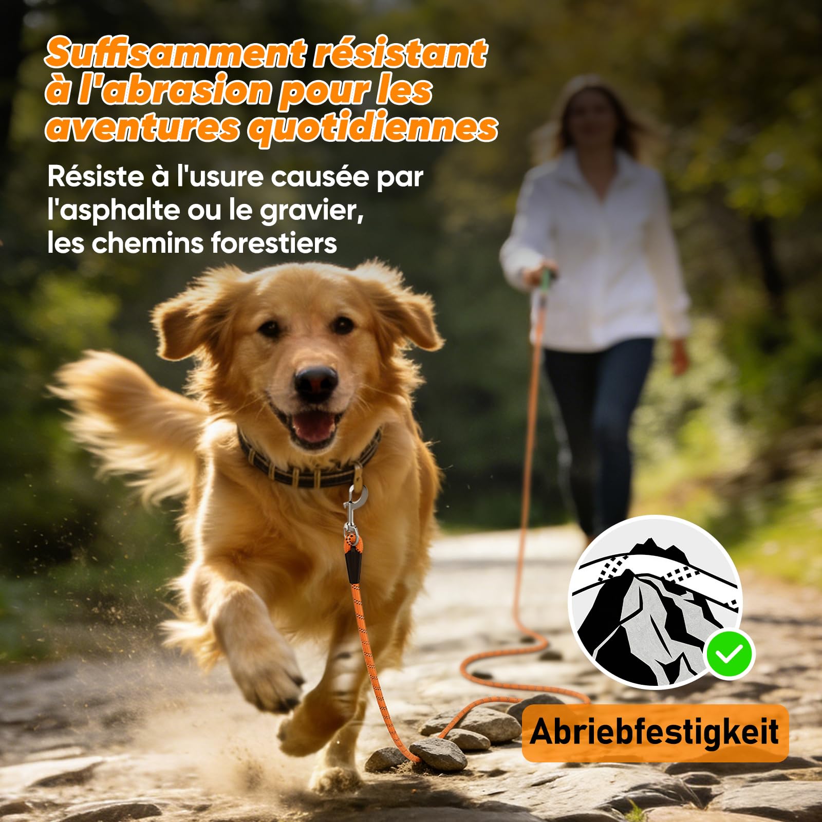 Aystkniet Longe pour Chien, 5M 10M 15M 20M 30M Laisse de Dressage avac Crochets Pivotants aux Deux Extrémités, Longue Laisse Corde d'attache pour Petits, Moyens, Grands Chiens (Orange, 5M * 8MM)