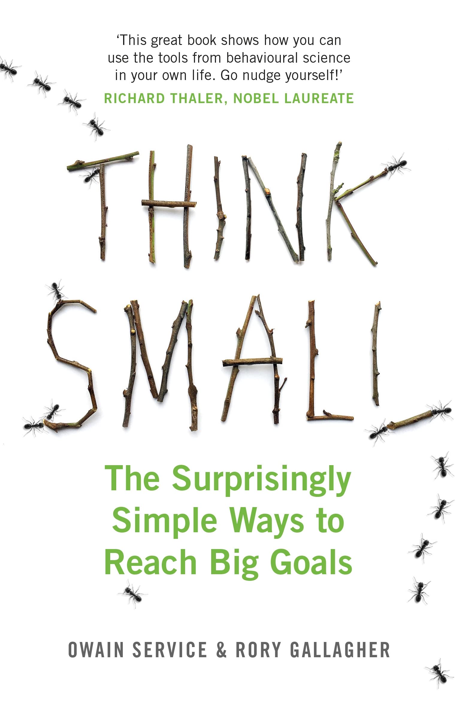 Think Small: The Surprisingly Simple Ways to Reach Big Goals