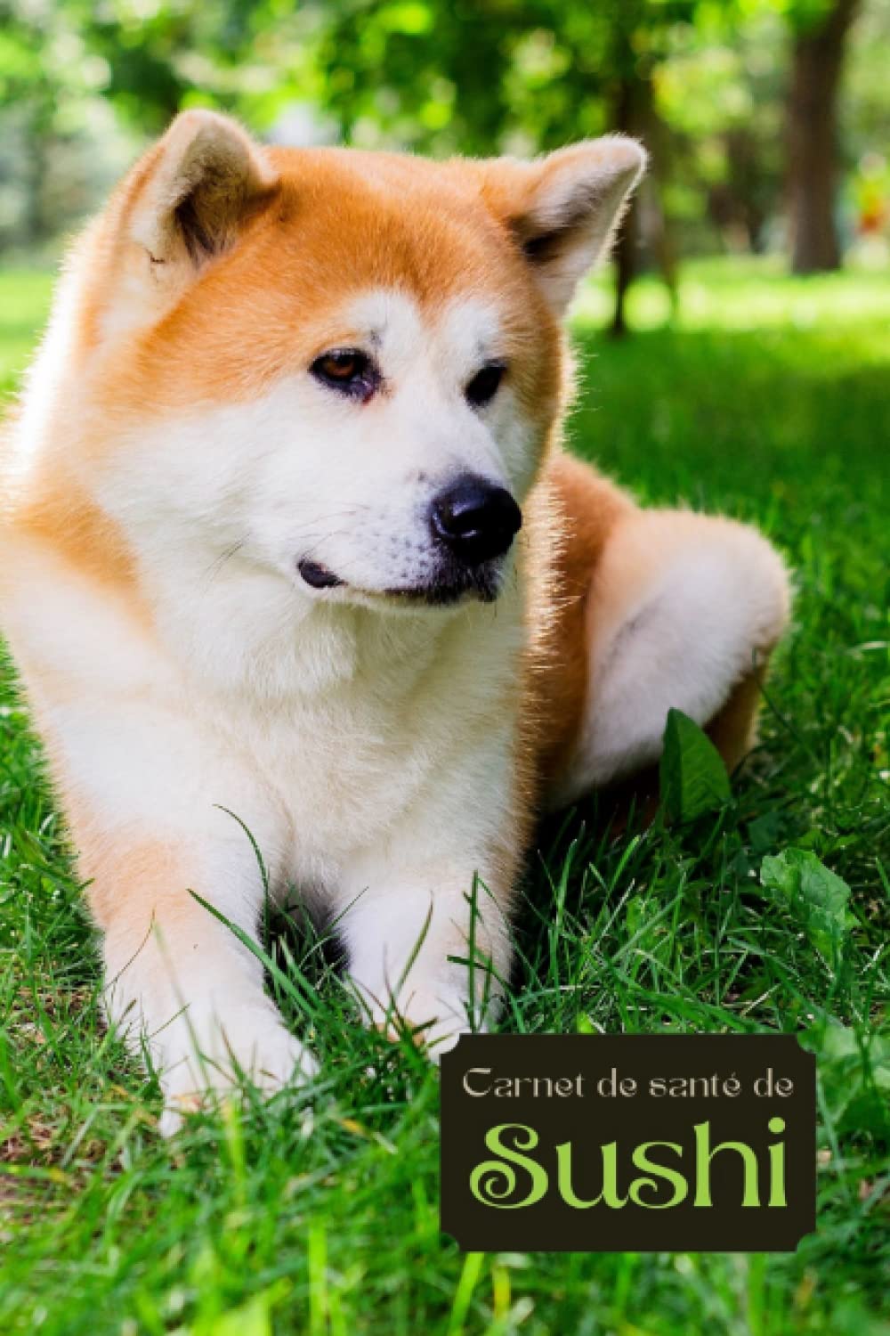 Carnet de santé et vaccination pour chien: Personnalisable