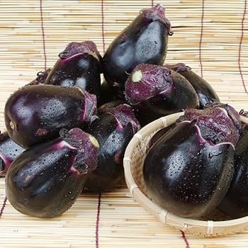 Amazon.co.jp: 種 野菜たね ナス 泉州水なす 1袋（0.5ml） / 国華園 25