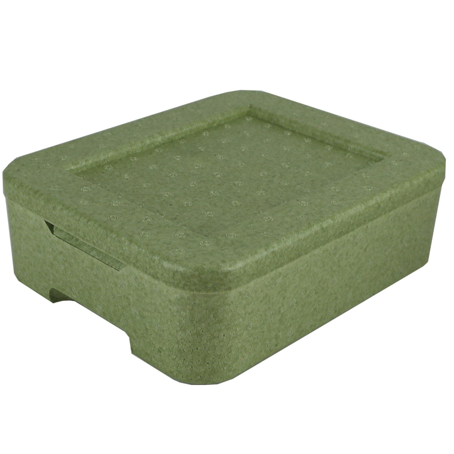 10x W1 Thermobox grün für 1 Menüschale | Styropor | wiederverwendbar wiederverwendbare MENÜBOX-Transportbehälter für Catering und Lieferdienste