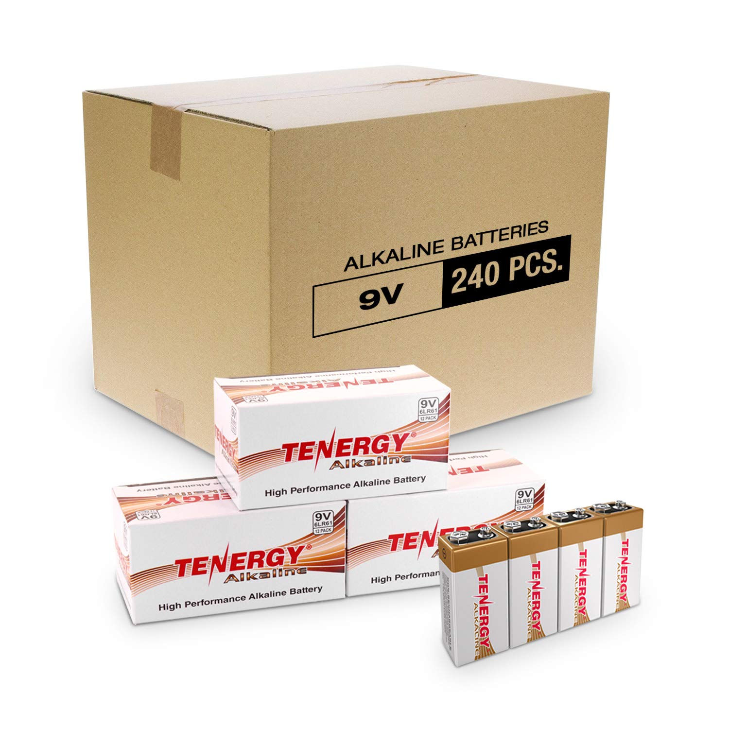 Tenergy 6LR61 9V Alkaline Battery, Non-Rechargeable Battery for Smoke Alarms, Guitar Pickups, Microp