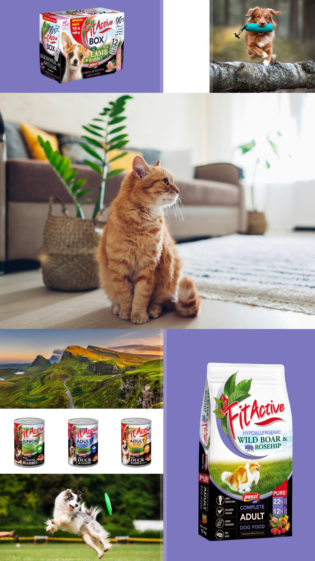Panzi Pet Pure Wild Boar SMALL - Hipoalergiczna karma dla psów bez kurczaka i pszenicy – mono białko karma dla psów o smaku dzika (12 kg)
