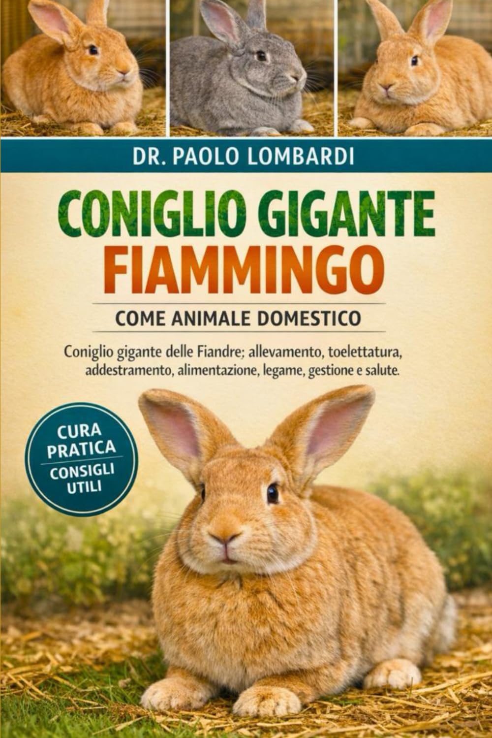 CONIGLIO GIGANTE FIAMMINGO COME ANIMALE DOMESTICO: coniglio gigante delle Fiandre : allevamento, toelettatura, addestramento, alimentazione, legame, gestione e salute