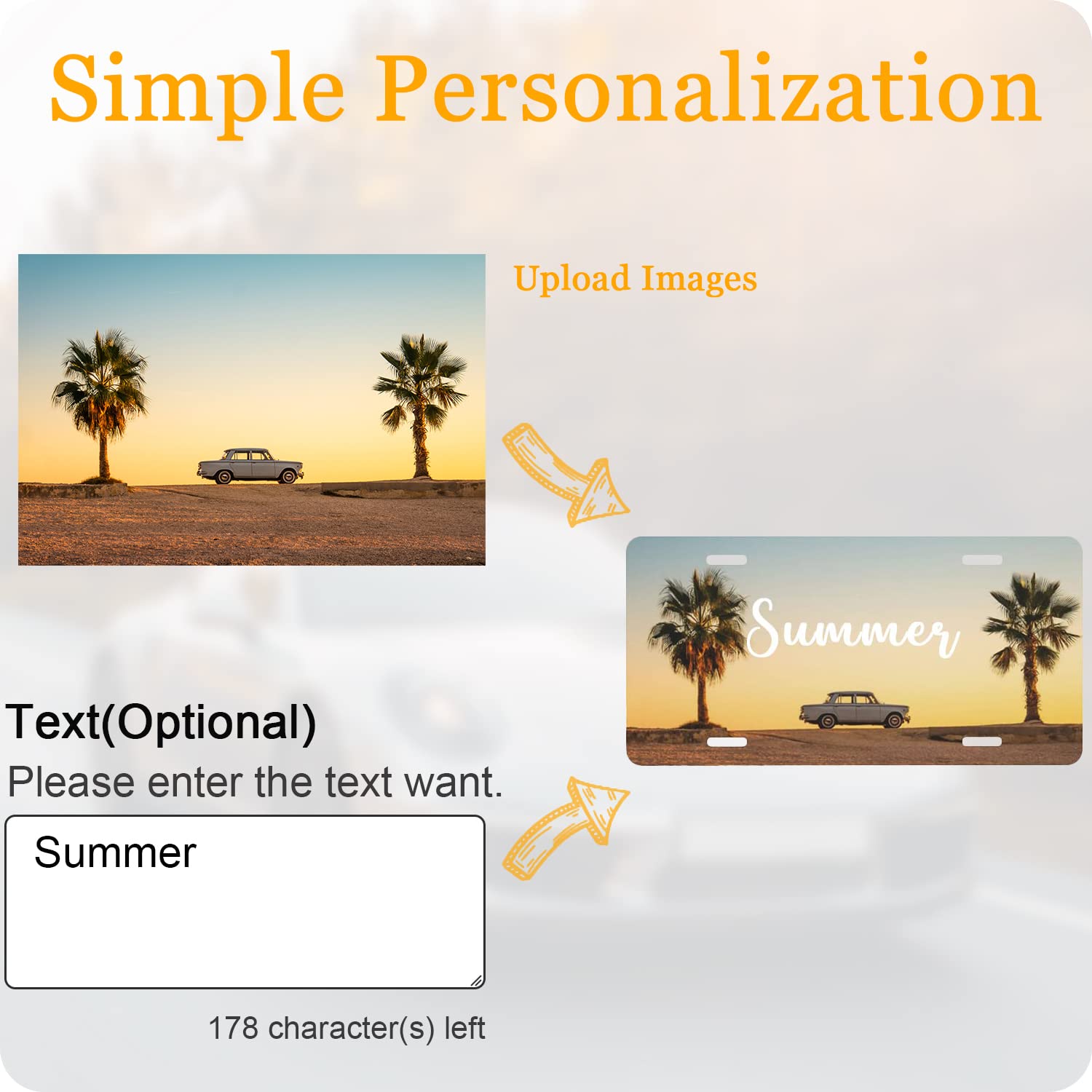 Custom License Plate Personalized License Plates for Front of Car Customized Your Text Image Photo Logo License Plate Car Tag Suitable for Truck Bar Cafe Door Plate Auto Accessories 6 x 12 Inch