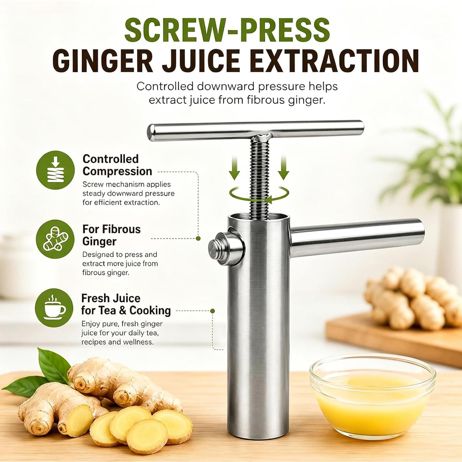 Spremi-Zenzero Manuale, Estrattore di Succo a Manovella