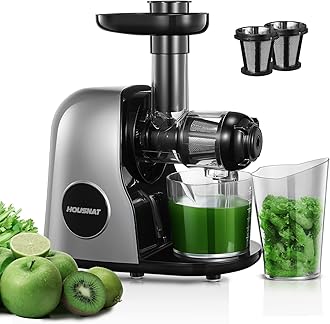 Juicer Machines, HOUSNAT Slow Masticating Juicers Whole Fruit and Vegetable, Professional Cold Press Juicer Extractor with Quiet Motor and Reverse Function Easy to Clean, Brush & Recipes Included