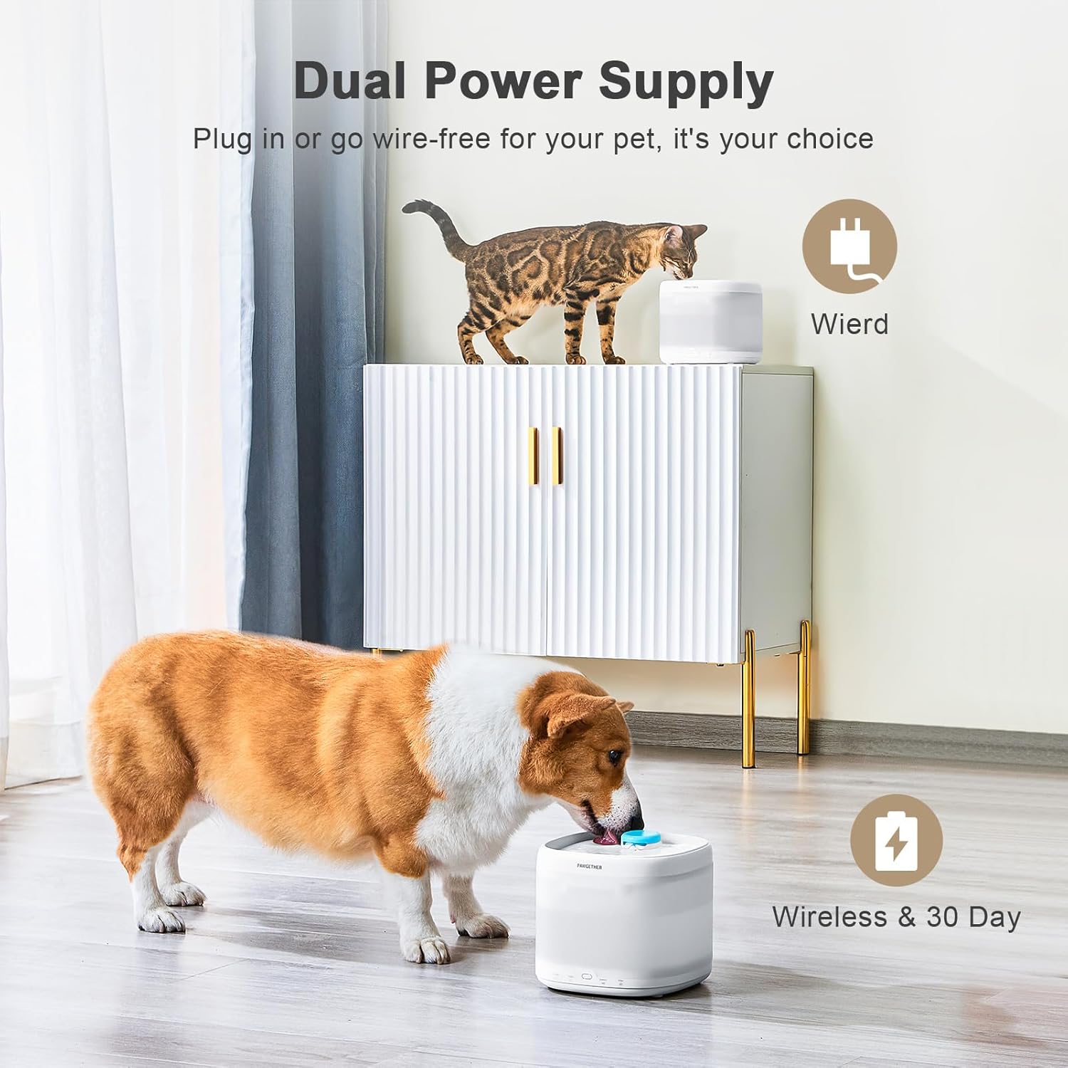 PAWGETHER Cat Water Fountain with dual power supply