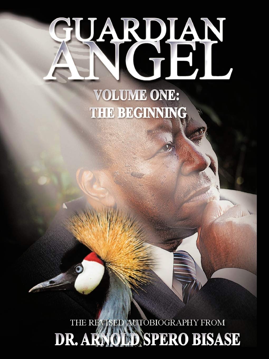 Guardian Angel, Vol. 1: The Beginning