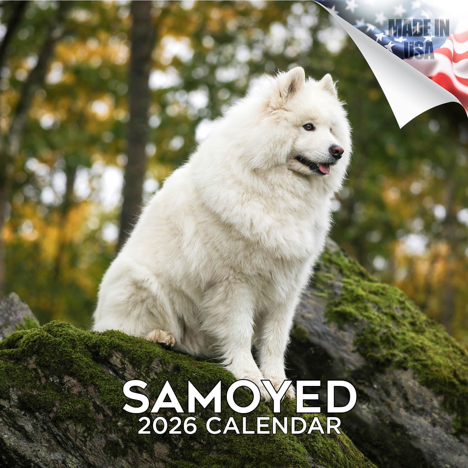 2025 2026 Samoyed Calendar - Dog Breed Monthly Wall Calendar - 12" x 24" Open - Thick No-Bleed Paper - Giftable - Academic Teacher's Planner Calendar