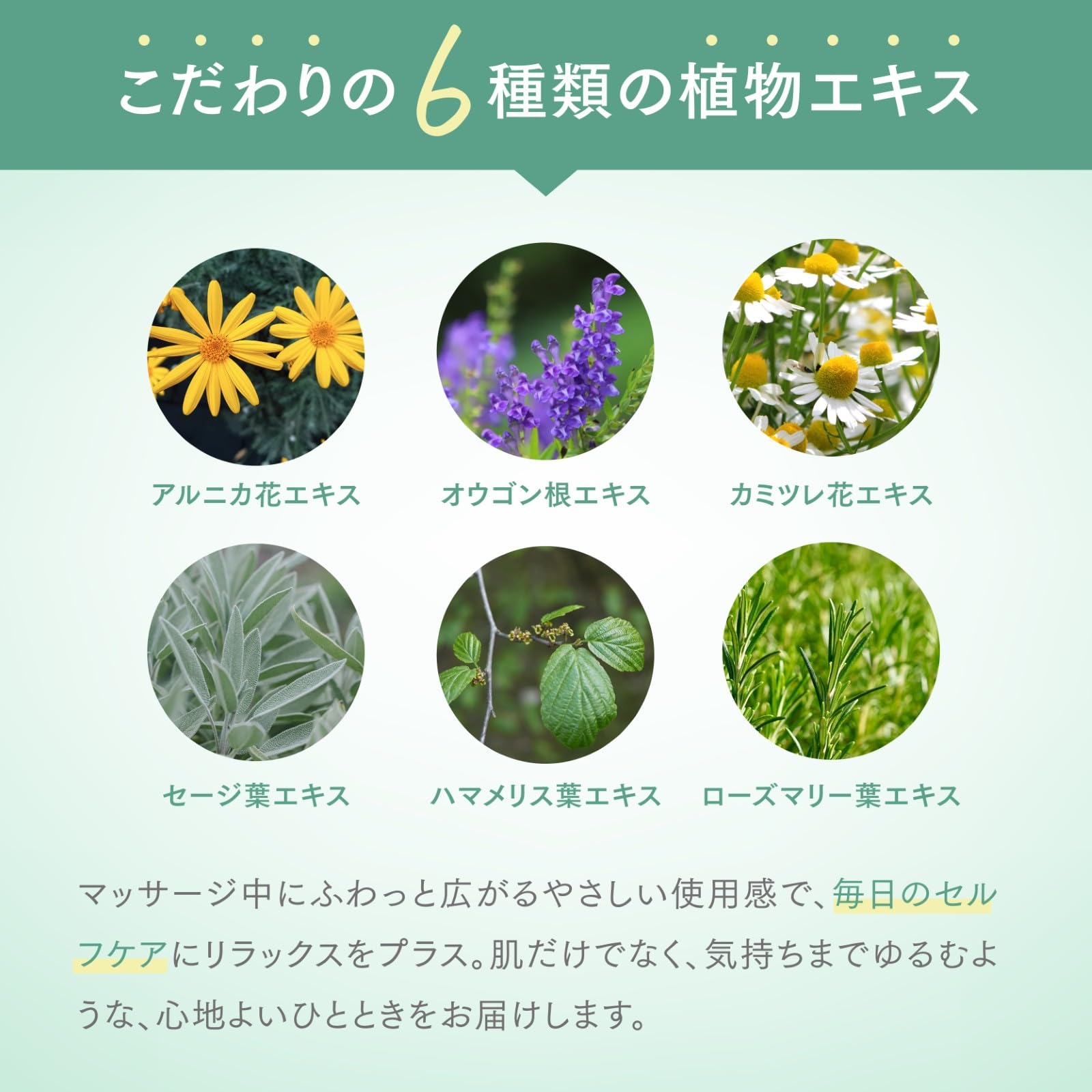 Amazon | MSMクリーム 無香料 メントールフリー マッサージクリーム