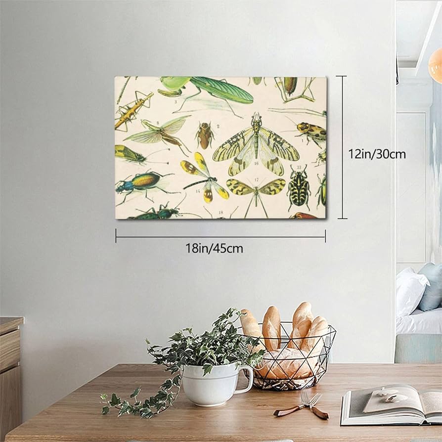 Amazon.co.jp: アートパネル 昆虫柄 イラスト 虫柄 壁掛けアート