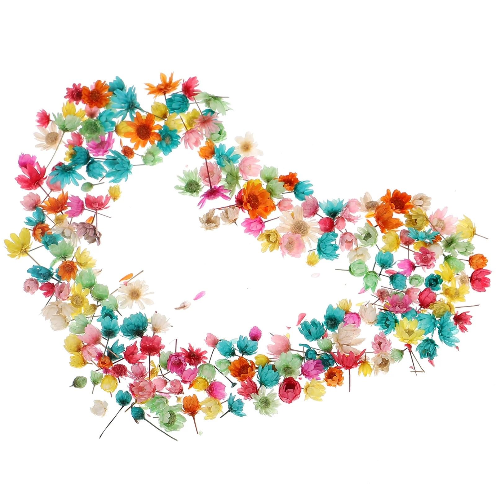 Fiori secchi pressati, Fiori pressati essiccati 1 Sacchetto di Fiori secchi Fai da Te Artigianato epossidico for Realizzare Fiori secchi for Realizzare Fiori secchi, Petali secchi Naturali