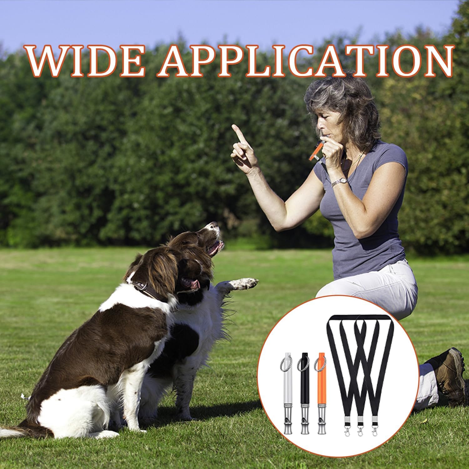 3 Paquets De Sifflet Chien, Sifflet Ultrason Chiens Anti Aboiement Ultrasons Haute FréQuence Sifflets D'EntraîNement Pour Chien ExtrêMement Fiable Sifflets De Dressage Convient à La Plupart Des Race
