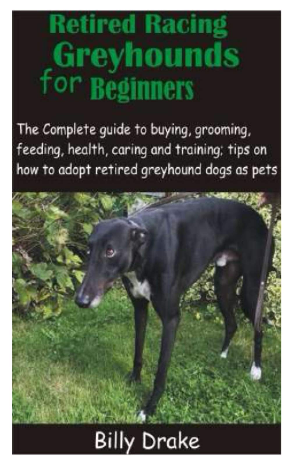 Do Retired Greyhounds Make Good Pets