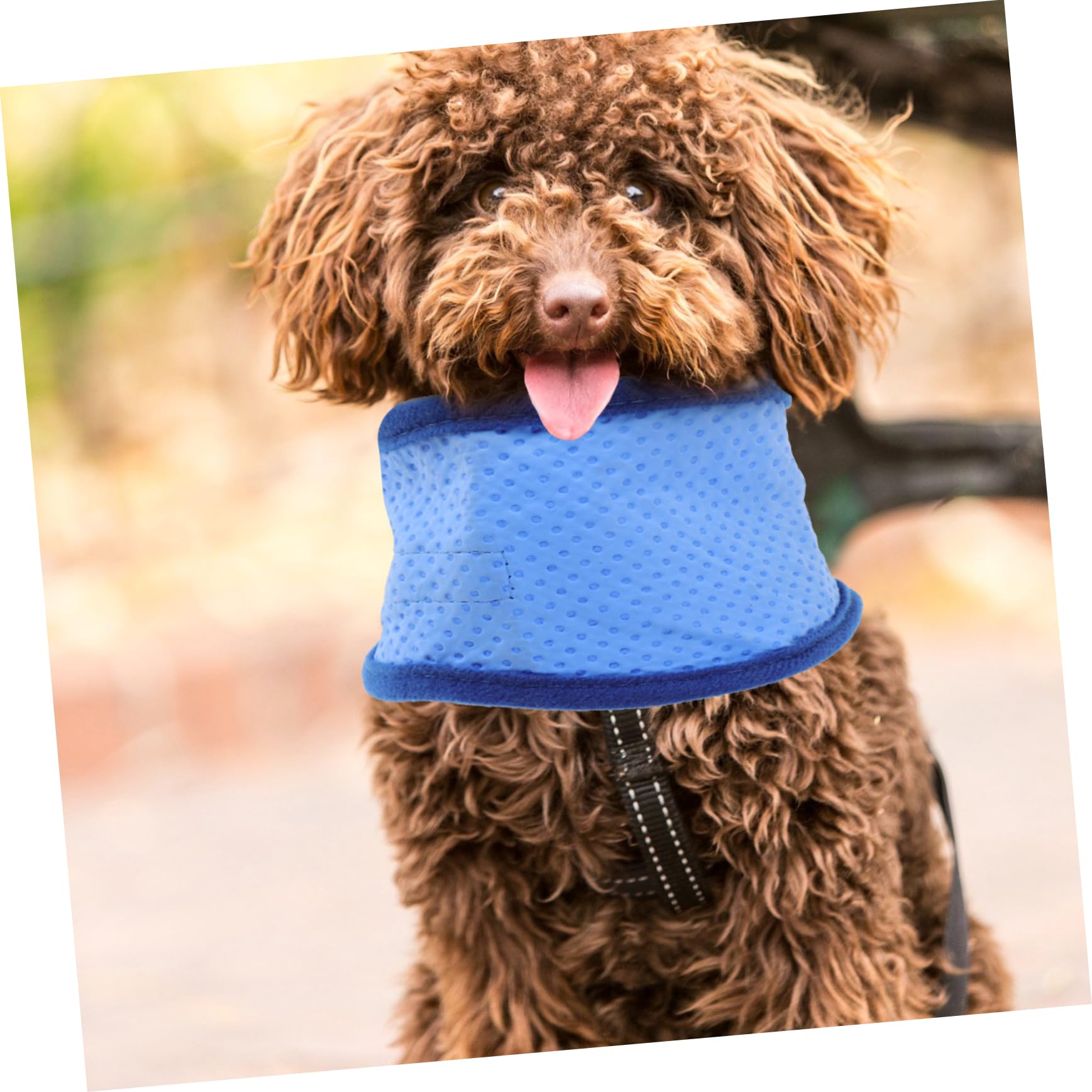 INOOMP 6stücke Kühl-Halsband Für Hunde Atmungsaktives Sommer-Bandana Hitzeableitende Haustier-schal Für Komfortable Abkühlung An Heißen Tagen