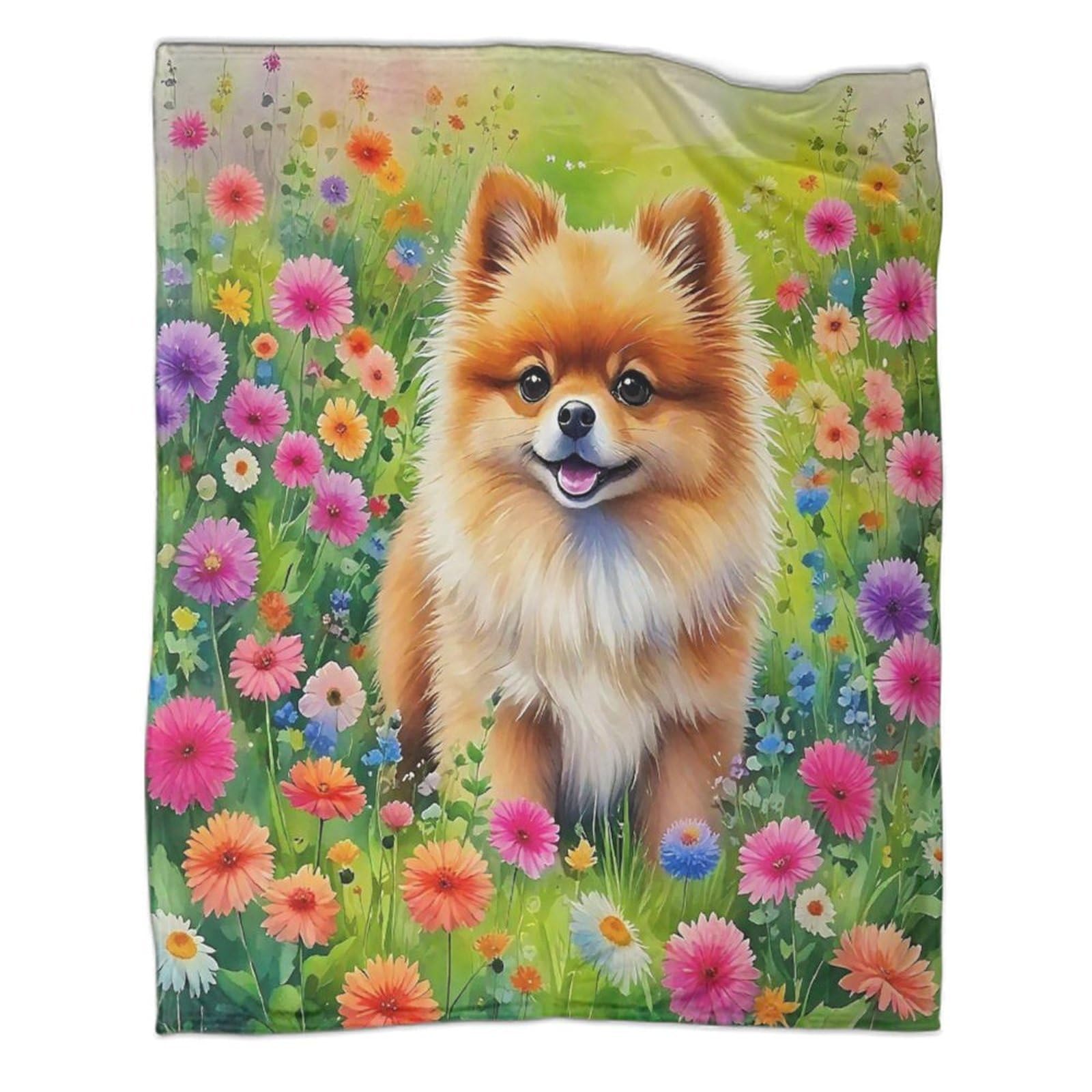Couverture de luxe Poméranie en flanelle 3D super douce grand format
