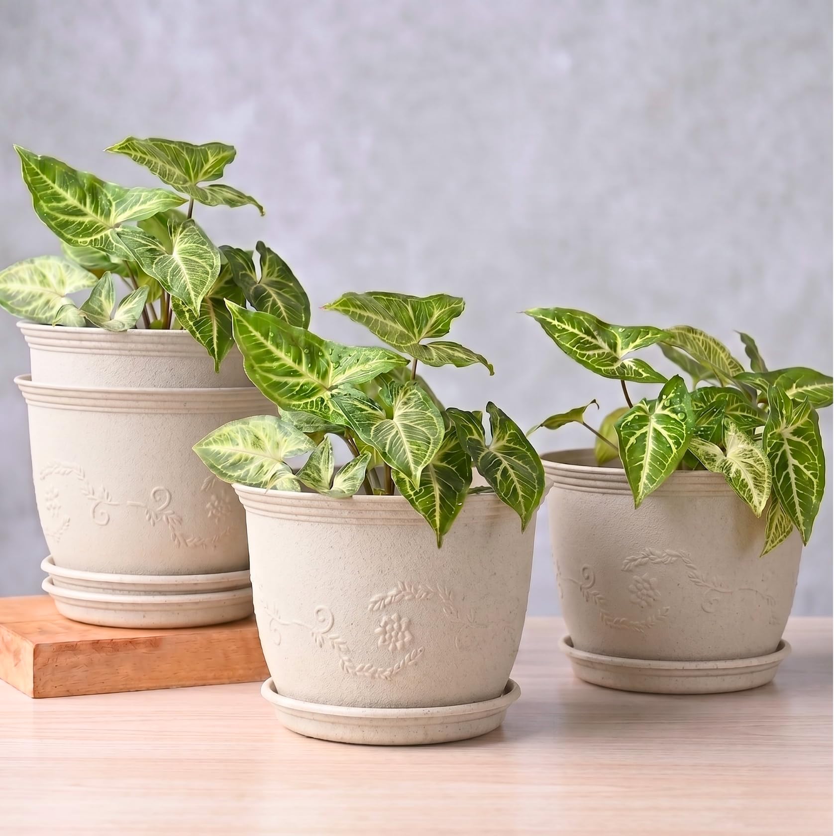 Eha Set of 4 Earth-Friendly 8" Leafy Planters with Tray | Bamboo Fiber | UV Protected | Drainage Hole | Pots for Indoor, Outdoor, Balcony & Garden | Sand Castle-image-14