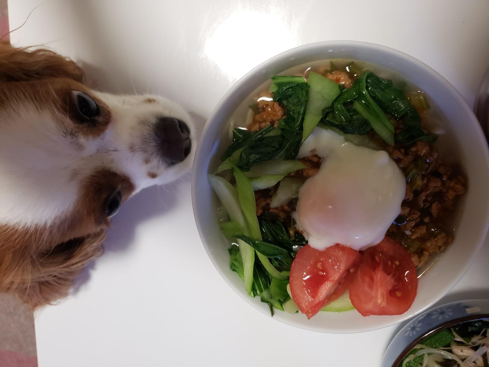 お客様イメージ