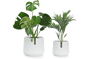 Fox & Fern 8-Inch and 10-Inch 3D Texture White Planters