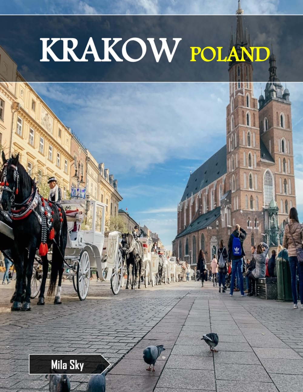 KRAKOW POLAND: A Luxury Coffee Table Book of Iconic Landmarks