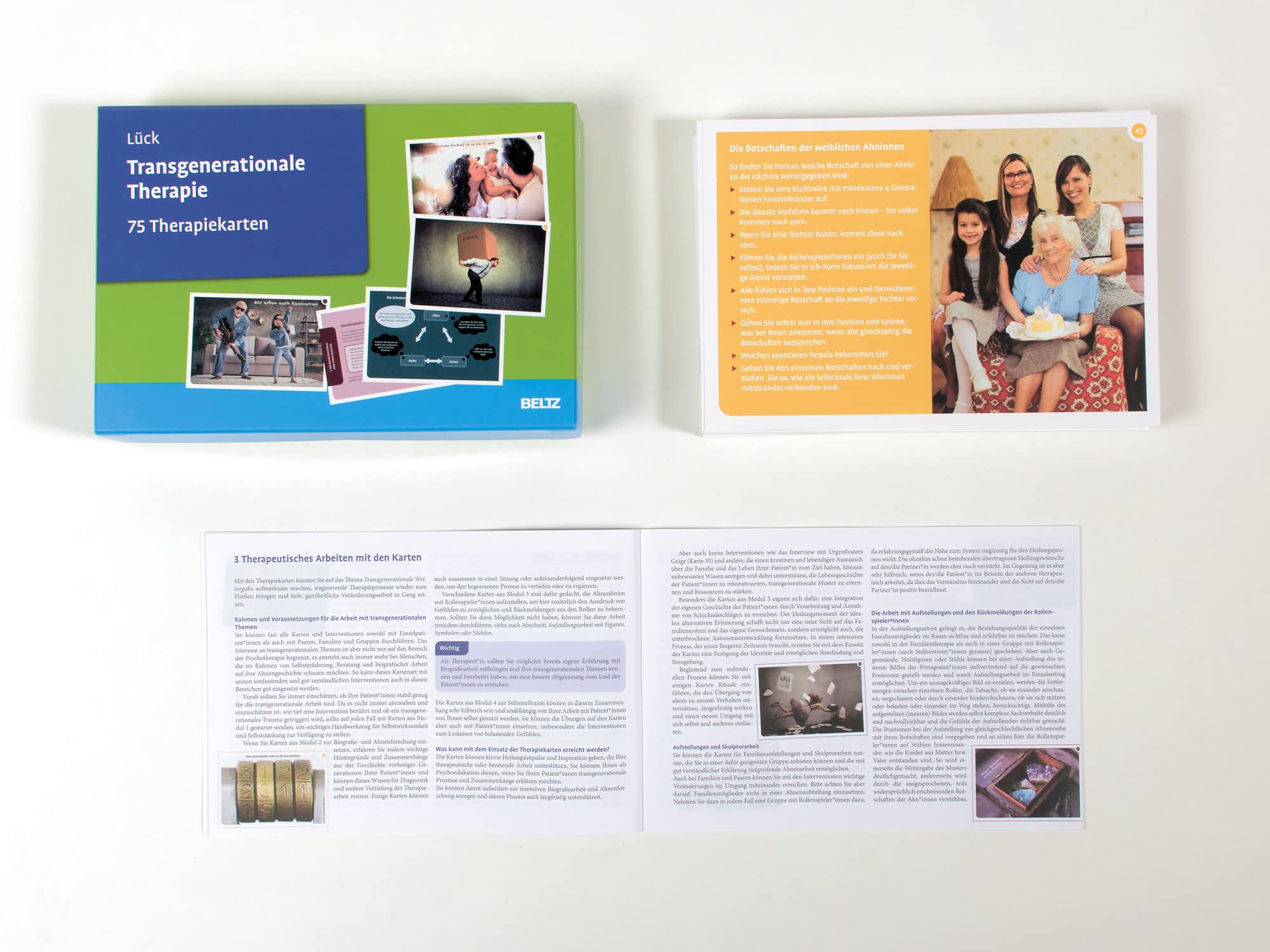 Transgenerationale Therapie: 75 Therapiekarten. Mit 32-seitigem Booklet in hochwertiger Klappkassette, Kartenformat 16,5 x 24 cm (Beltz Therapiekarten)