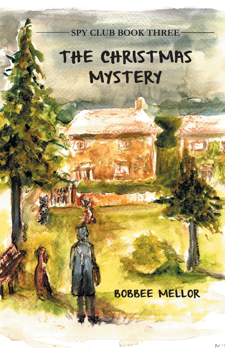 The Christmas Mystery: 3 (Spy Club)