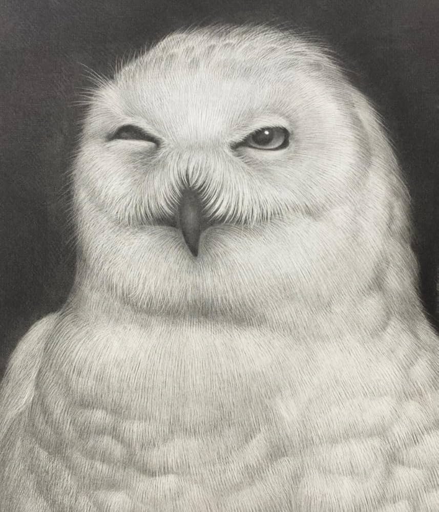生田宏司　猫とフクロウの銅版画 A4サイズ 生田宏司 猫とフクロウの銅版画 A4サイズ