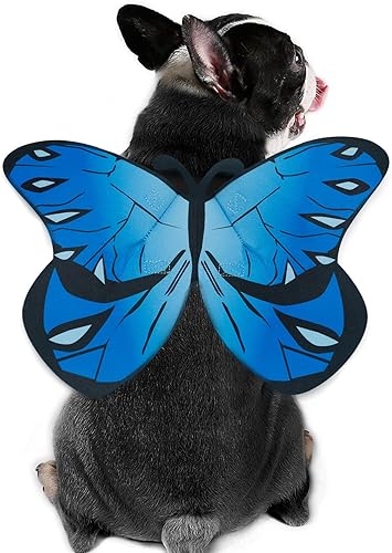 Disfraz de mariposa para perro y gato, disfraz de alas de mariposa para perros pequeños, medianos y grandes, disfraz de perro para Halloween