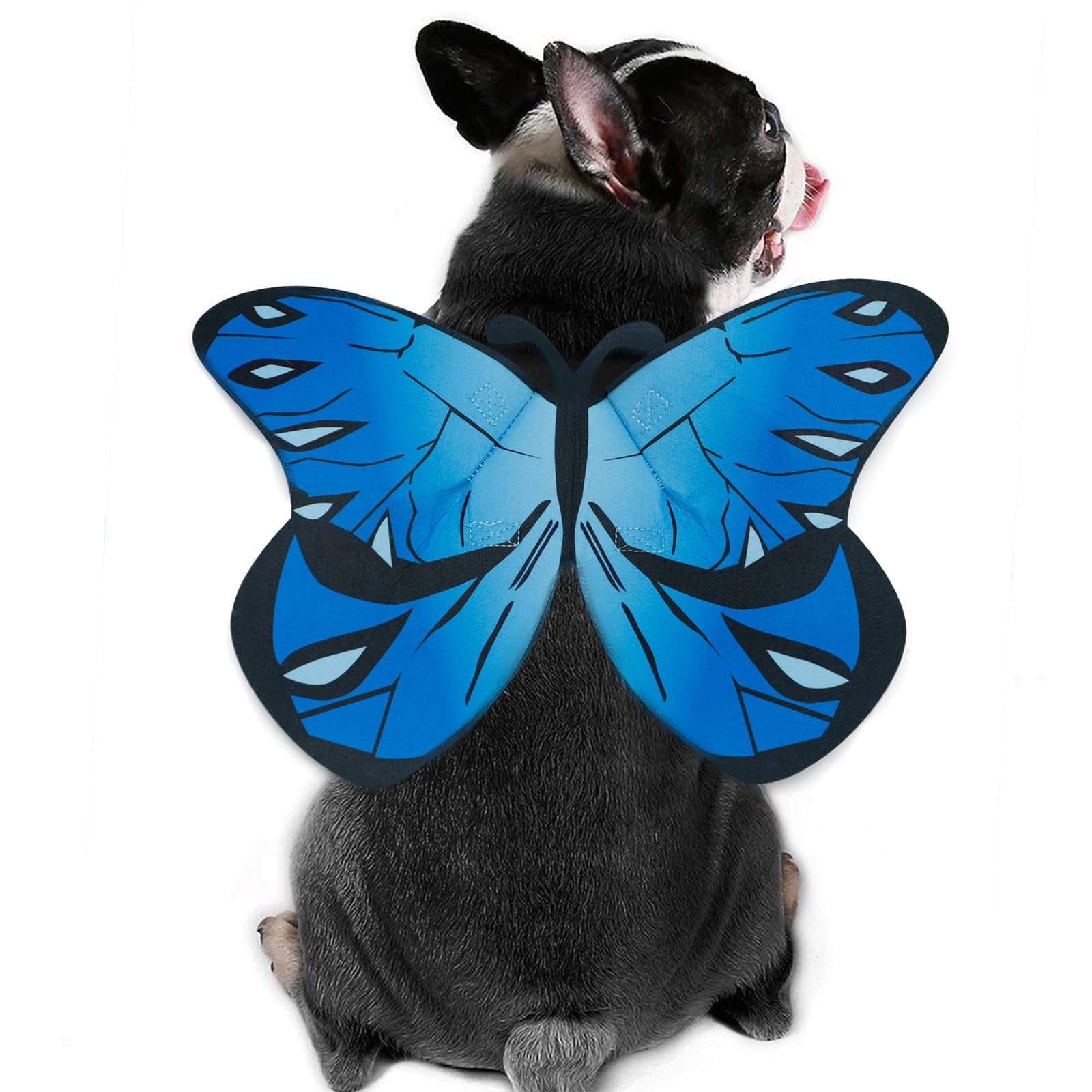Butterfly Costume for Dog Cat,Butterfly Wings Costume for Small Medium Large Dogs Cats,Dog Costume for Halloween