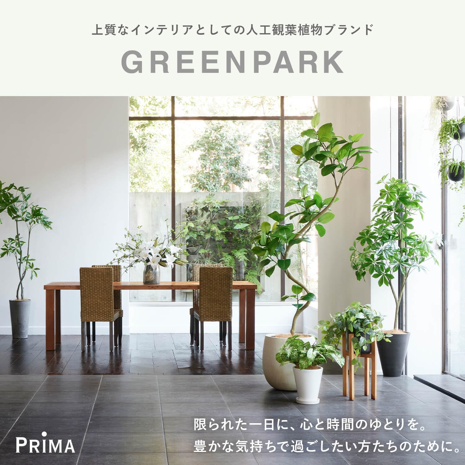 Amazon｜GREENPARK ドウダンツツジ ミックス Water H60cm 観葉植物