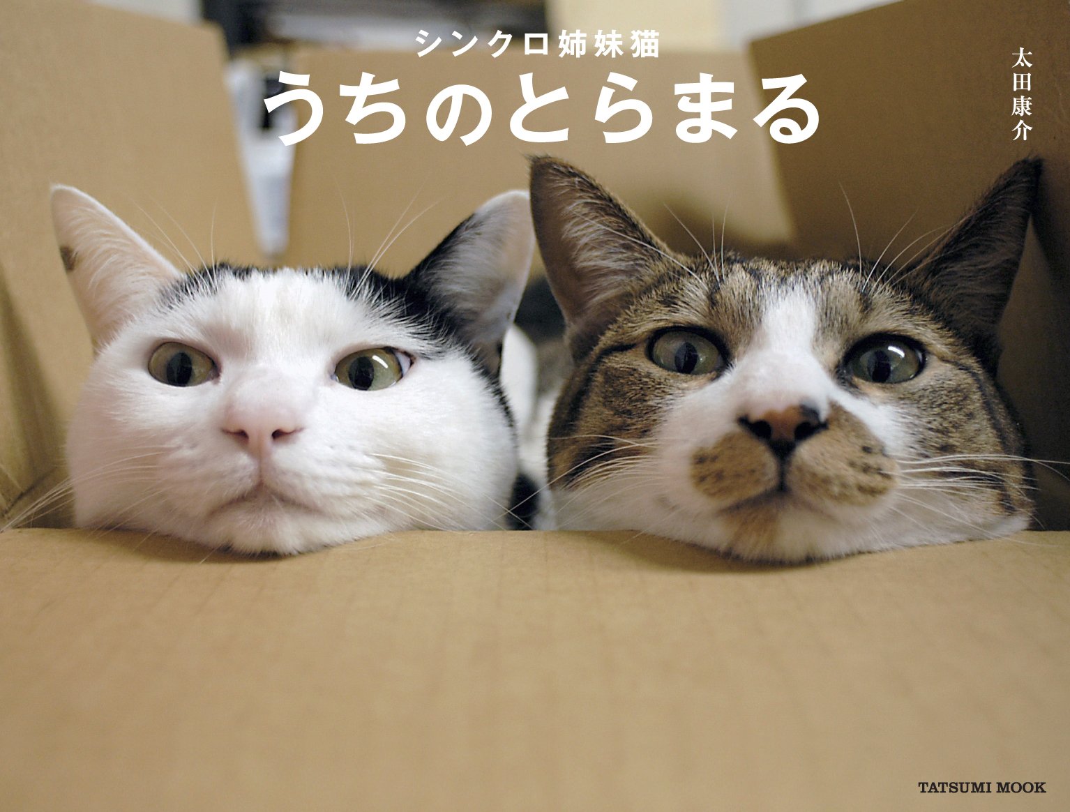 シンクロ姉妹猫 うちのとらまる (タツミムック) | 太田 康介 |本